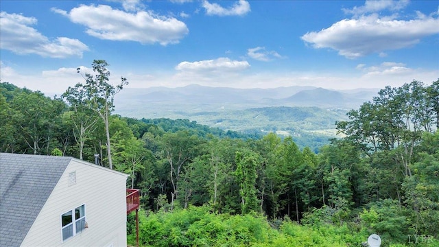 759 Grants Hollow Rd, Monroe, VA 24574 - photo 79