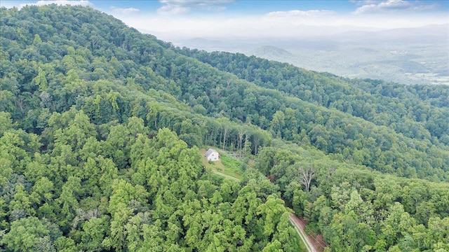 759 Grants Hollow Rd, Monroe, VA 24574 - photo 70
