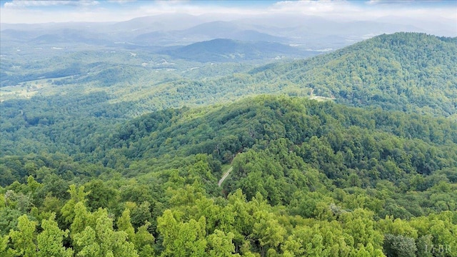 759 Grants Hollow Rd, Monroe, VA 24574 - photo 66