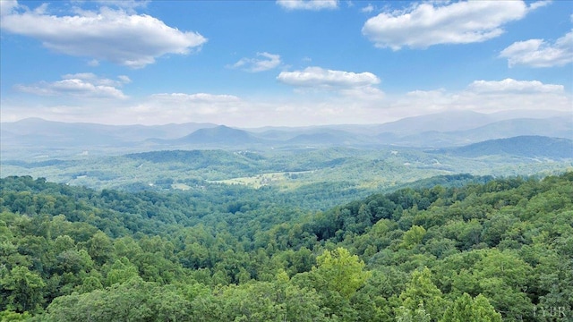 759 Grants Hollow Rd, Monroe, VA 24574 - photo 78