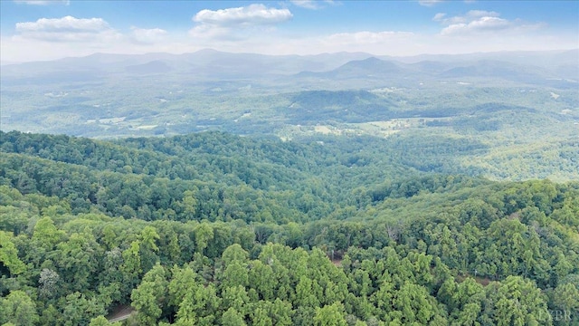 759 Grants Hollow Rd, Monroe, VA 24574 - photo 68