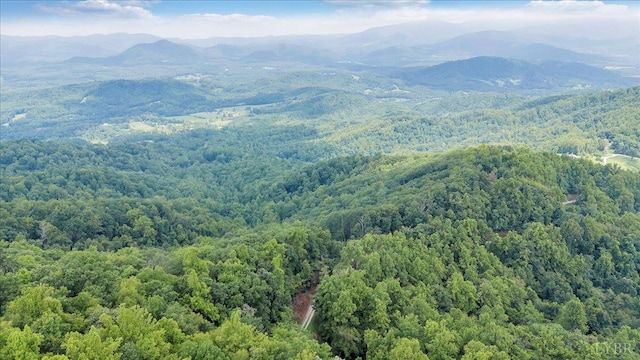 759 Grants Hollow Rd, Monroe, VA 24574 - photo 67