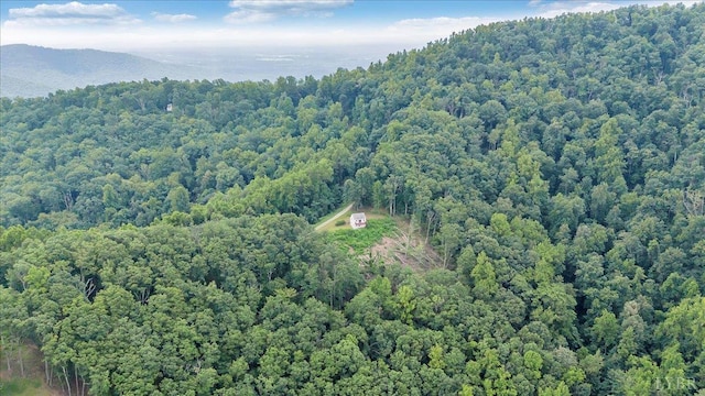 759 Grants Hollow Rd, Monroe, VA 24574 - photo 58