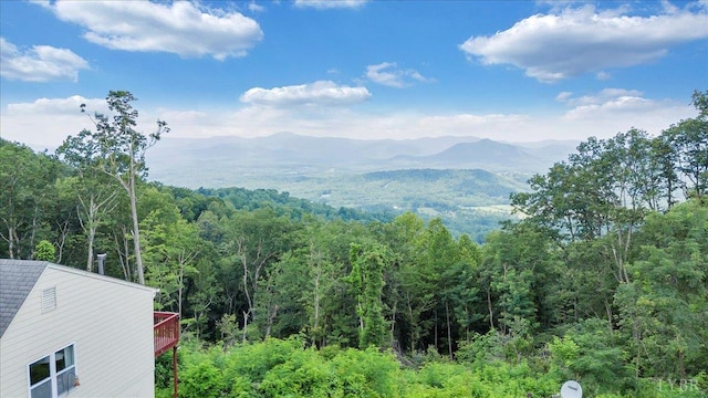 759 Grants Hollow Rd, Monroe, VA 24574 - photo 74