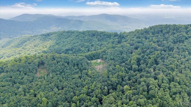 759 Grants Hollow Rd, Monroe, VA 24574 - photo 60