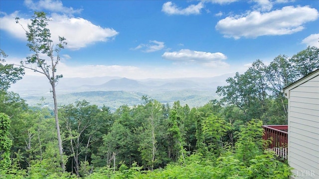 759 Grants Hollow Rd, Monroe, VA 24574 - photo 77