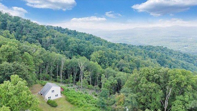 759 Grants Hollow Rd, Monroe, VA 24574 - photo 72