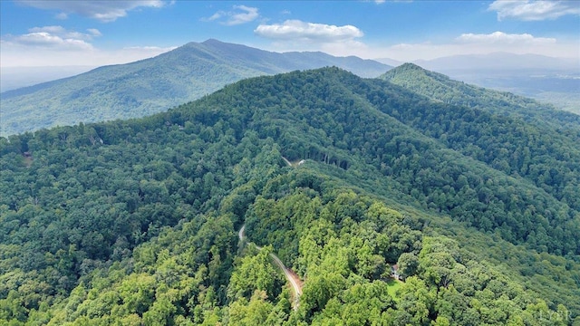 759 Grants Hollow Rd, Monroe, VA 24574 - photo 62