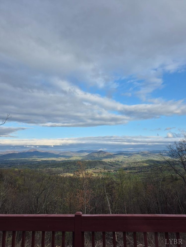 759 Grants Hollow Rd, Monroe, VA 24574 - photo 80