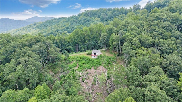 759 Grants Hollow Rd, Monroe, VA 24574 - photo 55