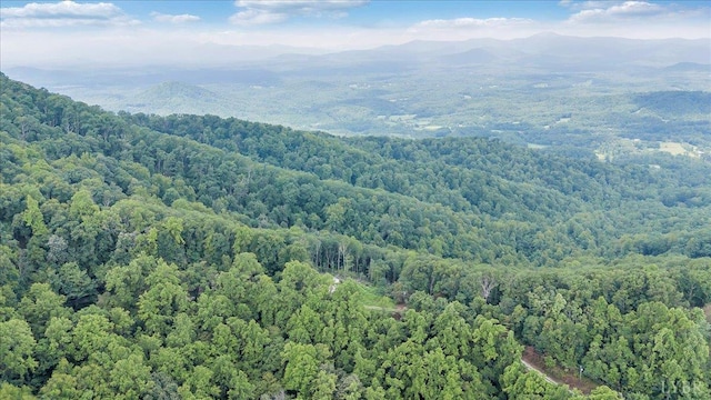 759 Grants Hollow Rd, Monroe, VA 24574 - photo 69