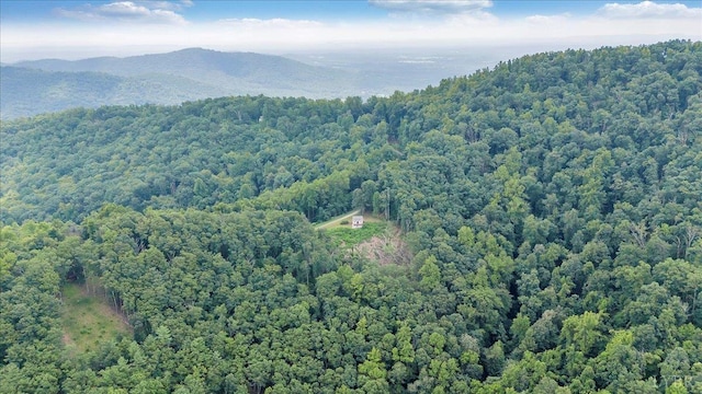 759 Grants Hollow Rd, Monroe, VA 24574 - photo 59