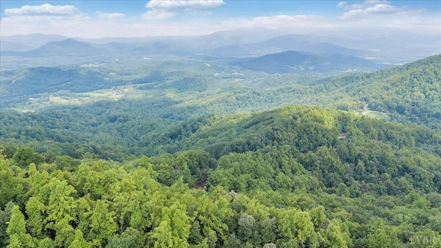 759 Grants Hollow Rd, Monroe, VA 24574 - photo 65