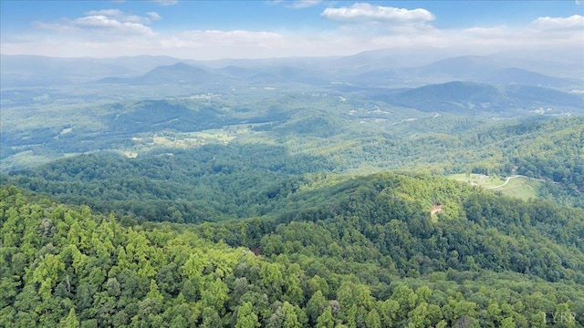 759 Grants Hollow Rd, Monroe, VA 24574 - photo 64