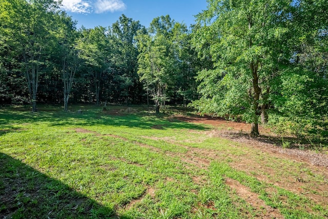 4841 Pittsville Rd, Gretna, VA 24557 - photo 26