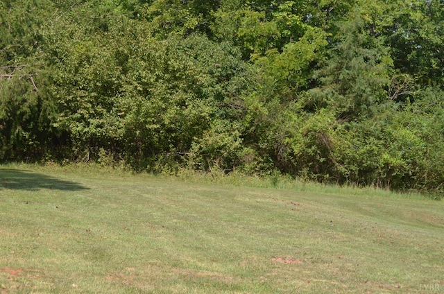 1953 Wards, Hurt, VA 24563 - photo 41
