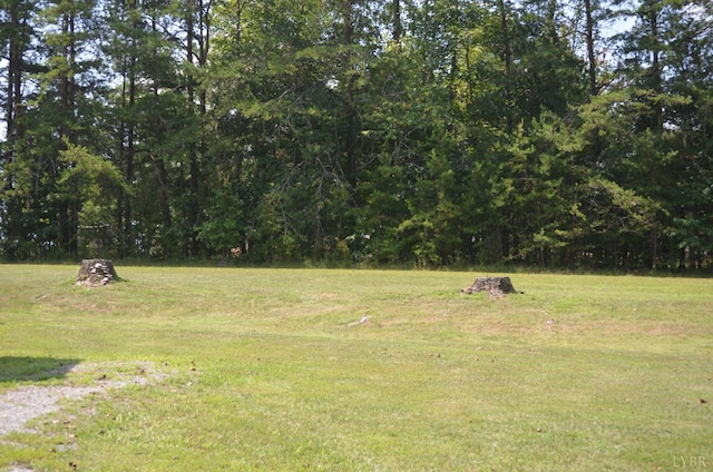 1953 Wards, Hurt, VA 24563 - photo 38