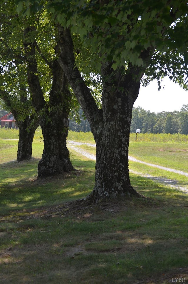 1953 Wards, Hurt, VA 24563 - photo 44
