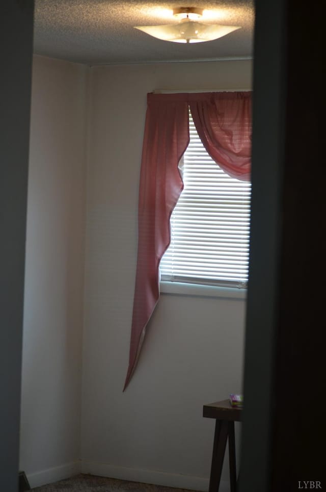 1953 Wards, Hurt, VA 24563 - photo 30