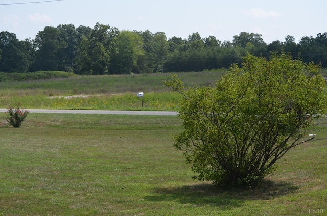 1953 Wards, Hurt, VA 24563 - photo 46