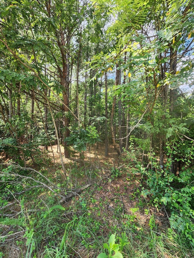 0 Enterprise Ln, Moneta, VA 24101 - photo 4