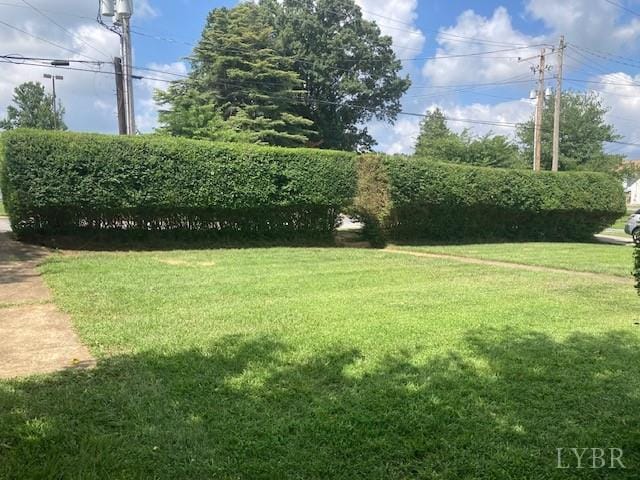 206 Morgan St, Lynchburg, VA 24502 - photo 16