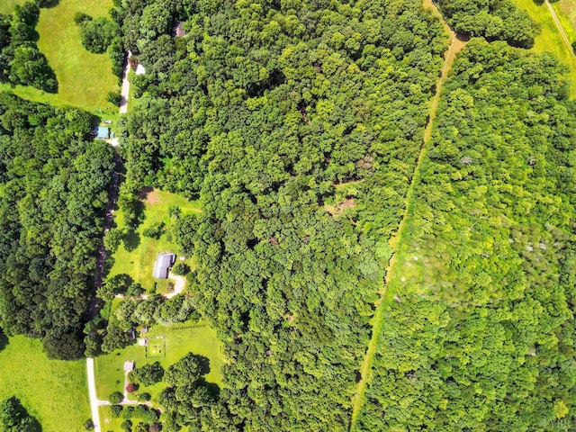2078 Featherfin Rd, Prospect, VA 23960 - photo 48