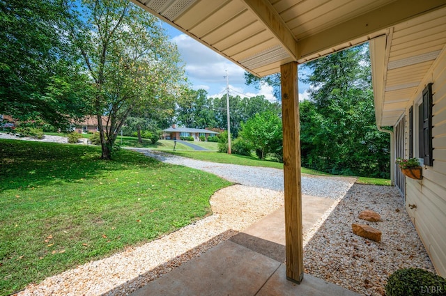 1406 Nelson, Lynchburg, VA 24502 - photo 34
