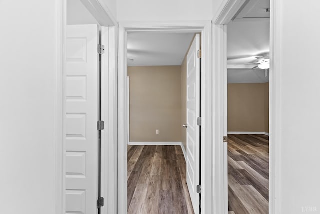 802 Amherst Ave, Altavista, VA 24517 - photo 22