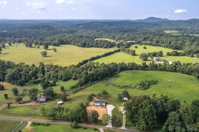 519 E Monitor Rd, Amherst, VA 24521 - photo 51