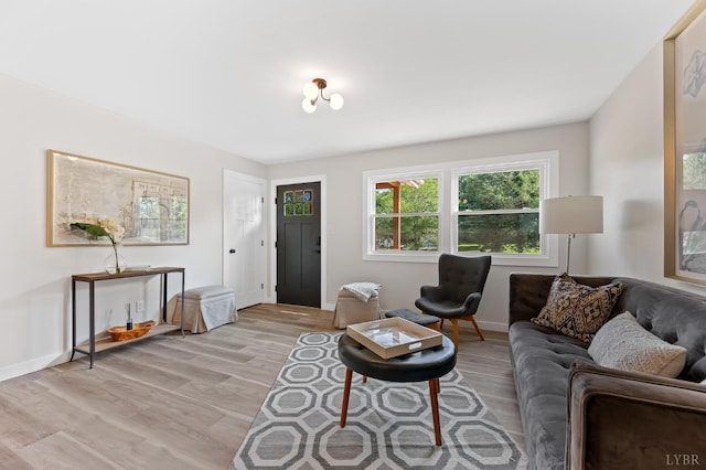 519 E Monitor Rd, Amherst, VA 24521 - photo 6