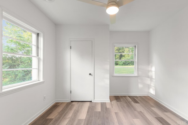 3806 Richmond, Appomattox, VA 24593 - photo 60