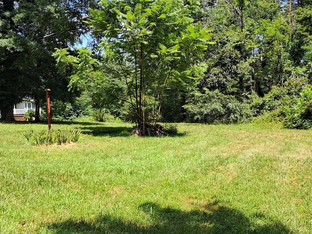 208 Lee Grant Ave, Appomattox, VA 24522 - photo 39