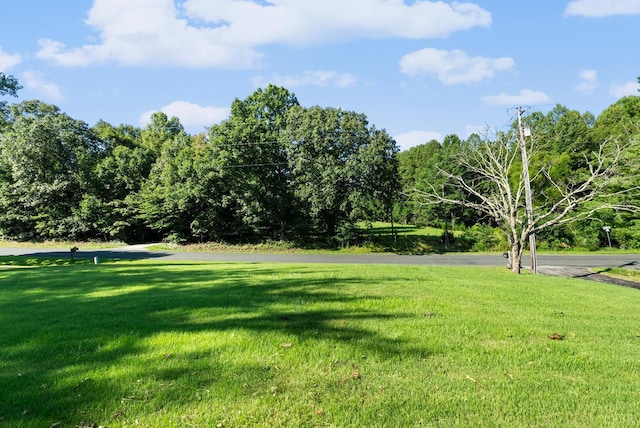 3745 Horseshoe Rd, Appomattox, VA 24522 - photo 36