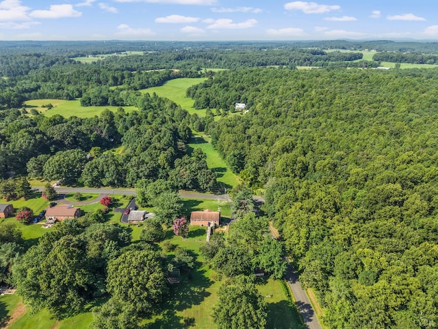 3745 Horseshoe Rd, Appomattox, VA 24522 - photo 47