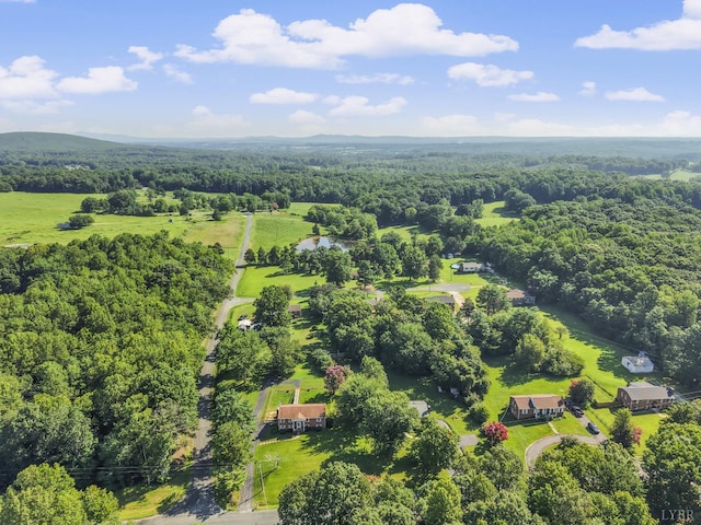 3745 Horseshoe Rd, Appomattox, VA 24522 - photo 45