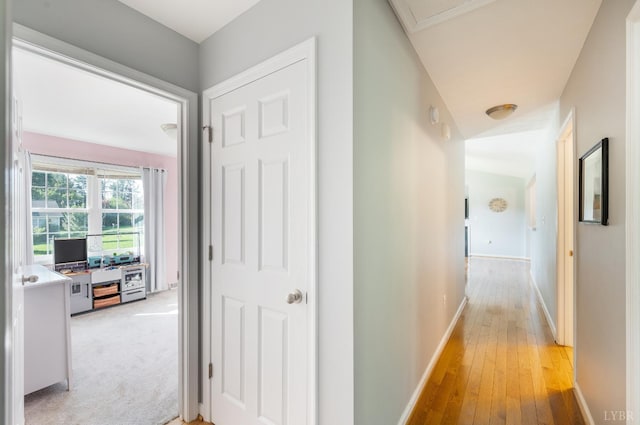145 Pine St, Appomattox, VA 24522 - photo 23