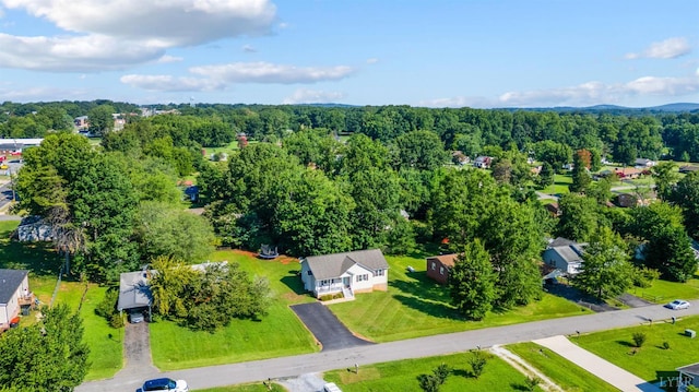 145 Pine St, Appomattox, VA 24522 - photo 41