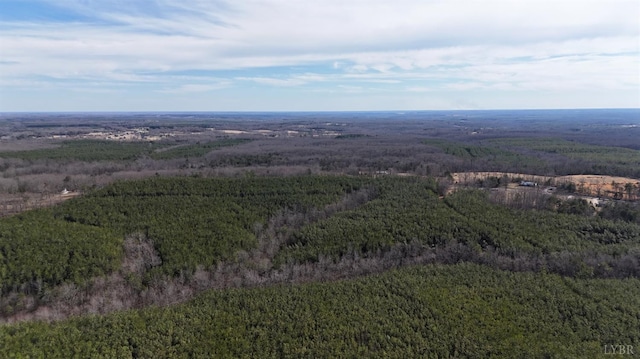0 Mountain Cut Rd, Appomattox, VA 24522 - photo 6