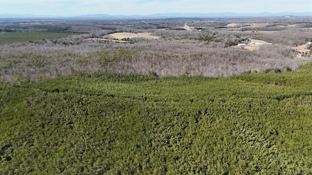 0 Mountain Cut Rd, Appomattox, VA 24522 - photo 5