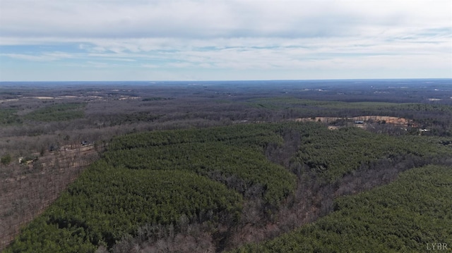 0 Mountain Cut Rd, Appomattox, VA 24522 - photo 8