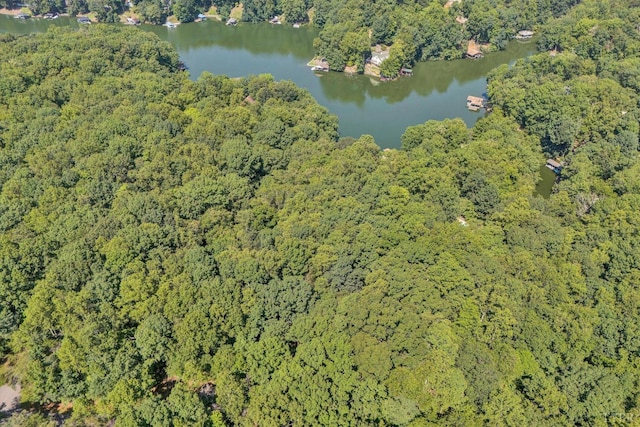 0 Woodridge Trl, Moneta, VA 24121 - photo 4