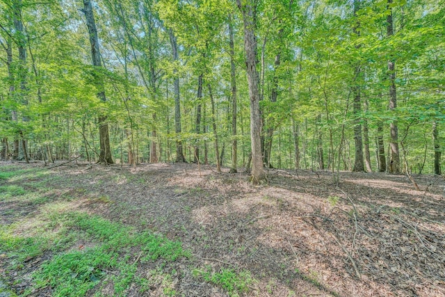 0 Woodridge Trl, Moneta, VA 24121 - photo 2