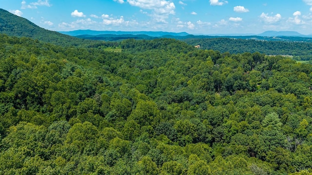 0 Clan Alpine Way, Glasgow, VA 24555 - photo 8
