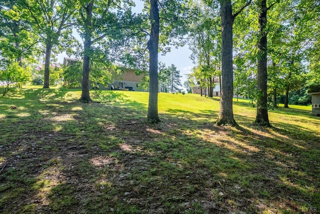 1604 Avondale Dr, Altavista, VA 24517 - photo 46