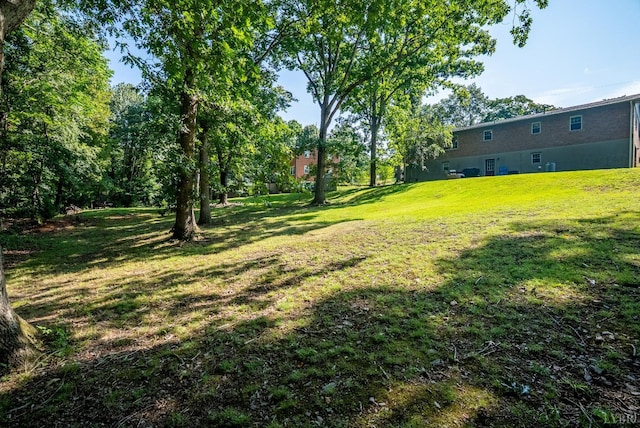 1604 Avondale Dr, Altavista, VA 24517 - photo 48