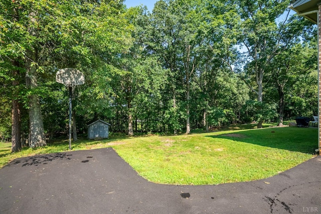 1604 Avondale Dr, Altavista, VA 24517 - photo 43