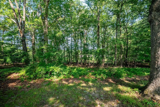 1604 Avondale Dr, Altavista, VA 24517 - photo 47