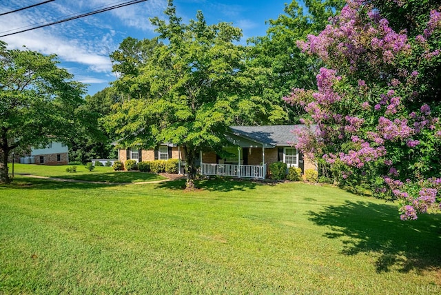 1604 Avondale Dr, Altavista, VA 24517 - photo 40