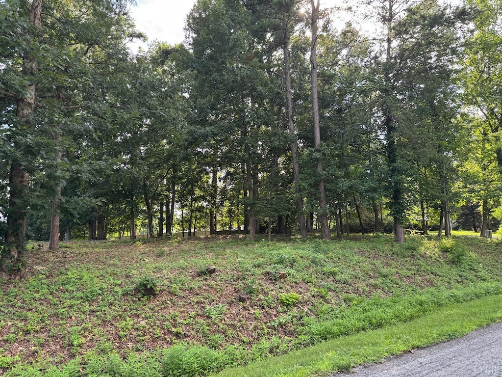 59 Macgregor Dr, Blue Ridge, VA 24064 - photo 1
